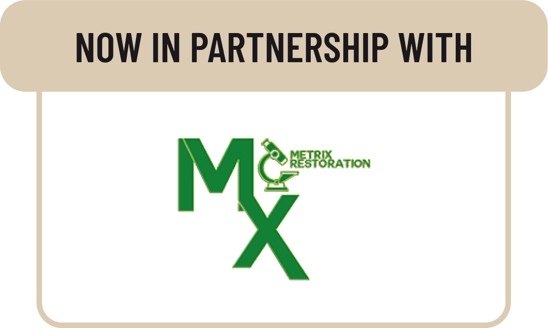 Logo of Mettek Restoration with green letters and a restoration symbol.