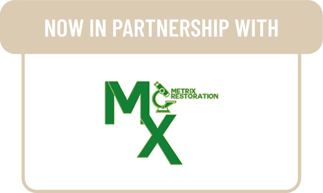 Logo of Metrix Restoration in green with a beige background.